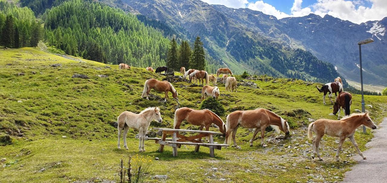 Gaestehaus Landhaus Tyrol Грис-им-Зельрайн Экстерьер фото