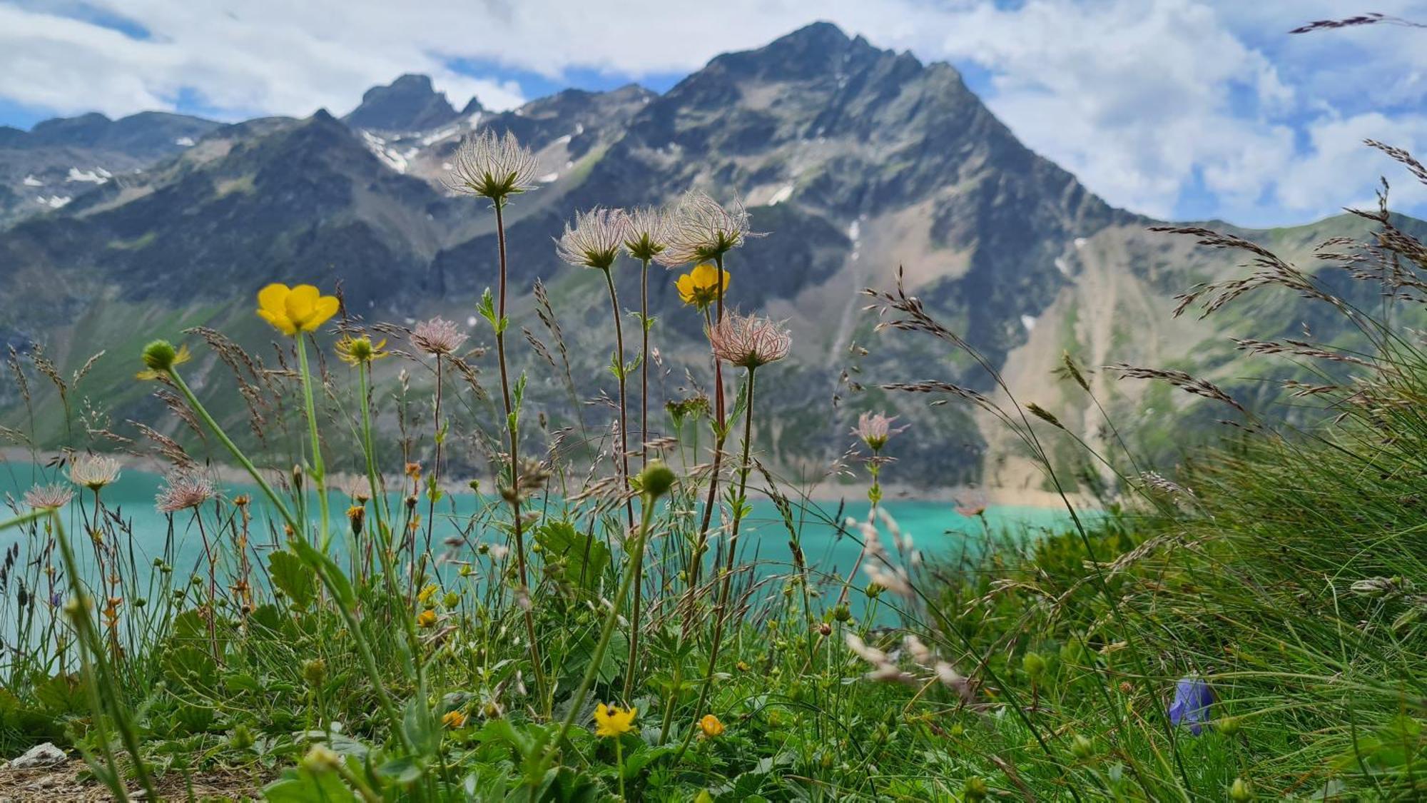 Gaestehaus Landhaus Tyrol Грис-им-Зельрайн Экстерьер фото