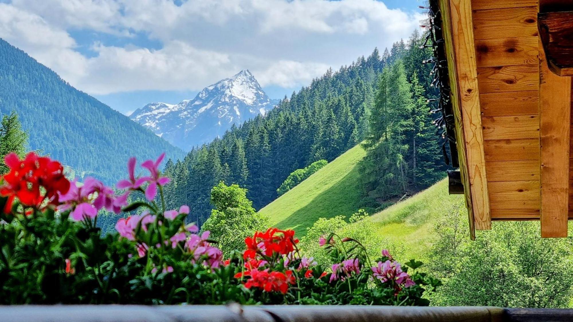 Gaestehaus Landhaus Tyrol Грис-им-Зельрайн Экстерьер фото